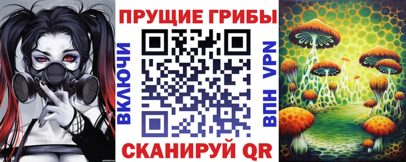 Псилоцибиновые грибы мицелий Калач